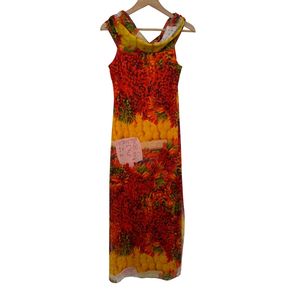 Zara Women Orange Chili Pepper Mesh Cowl Neck Maxi Dress L Whimsical Novelty